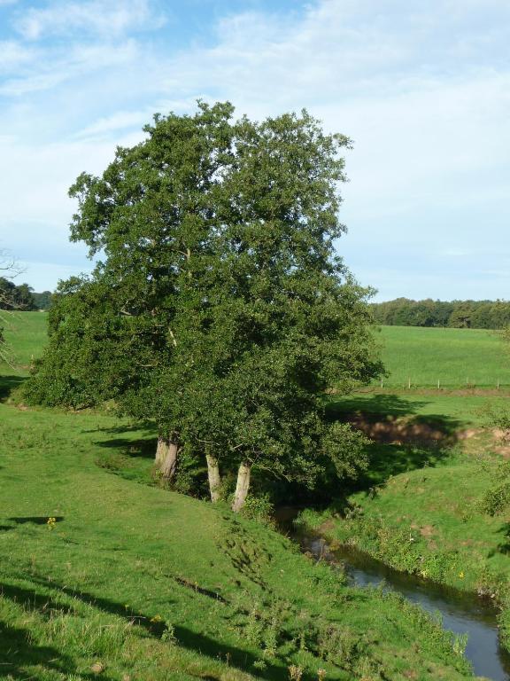 Birtles Farm Bed And Breakfast Knutsford Kültér fotó